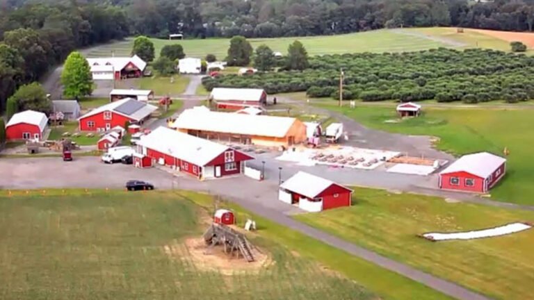 Barton Orchards