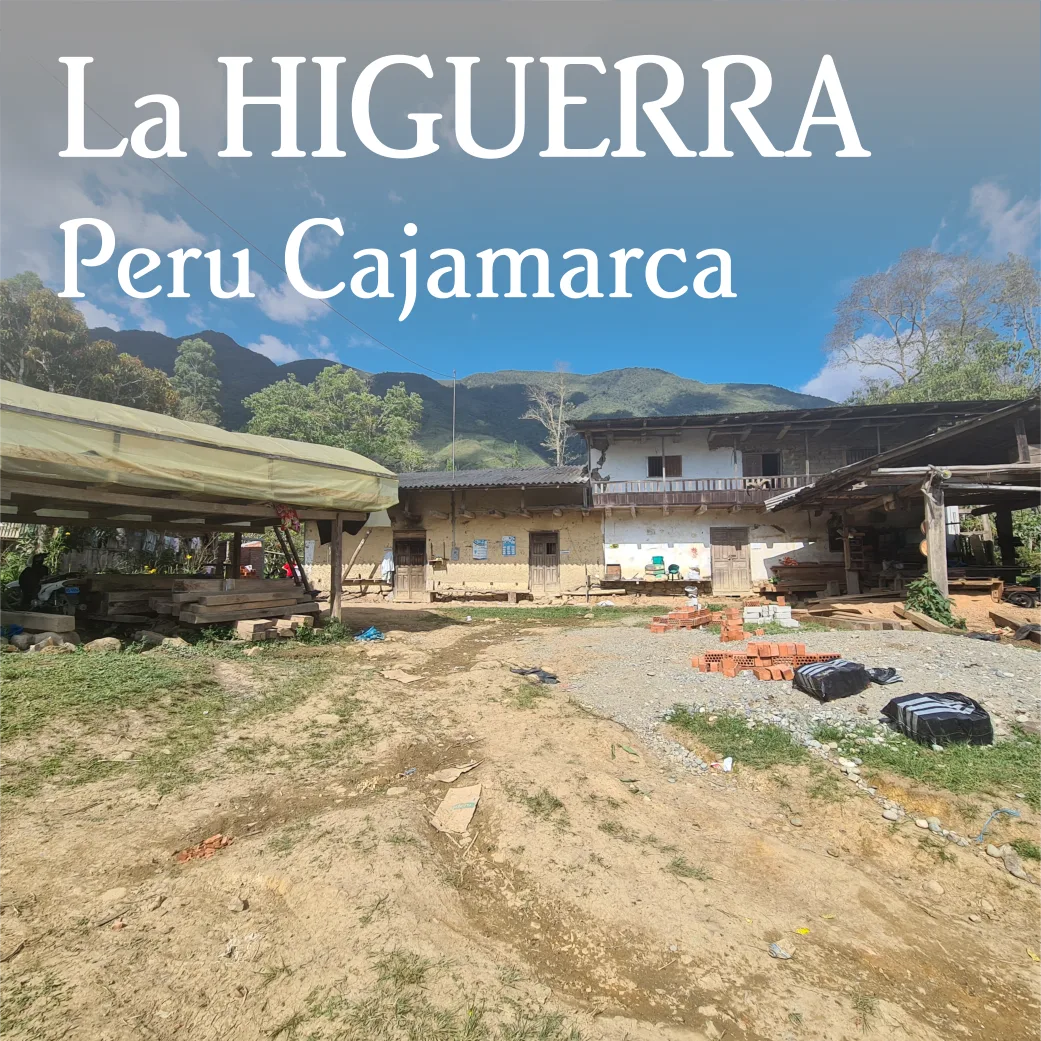 Beanberry Coffee Company Organic single-origin whole bean (Peru La Higuerra; Ethiopia Yirgacheffe)
