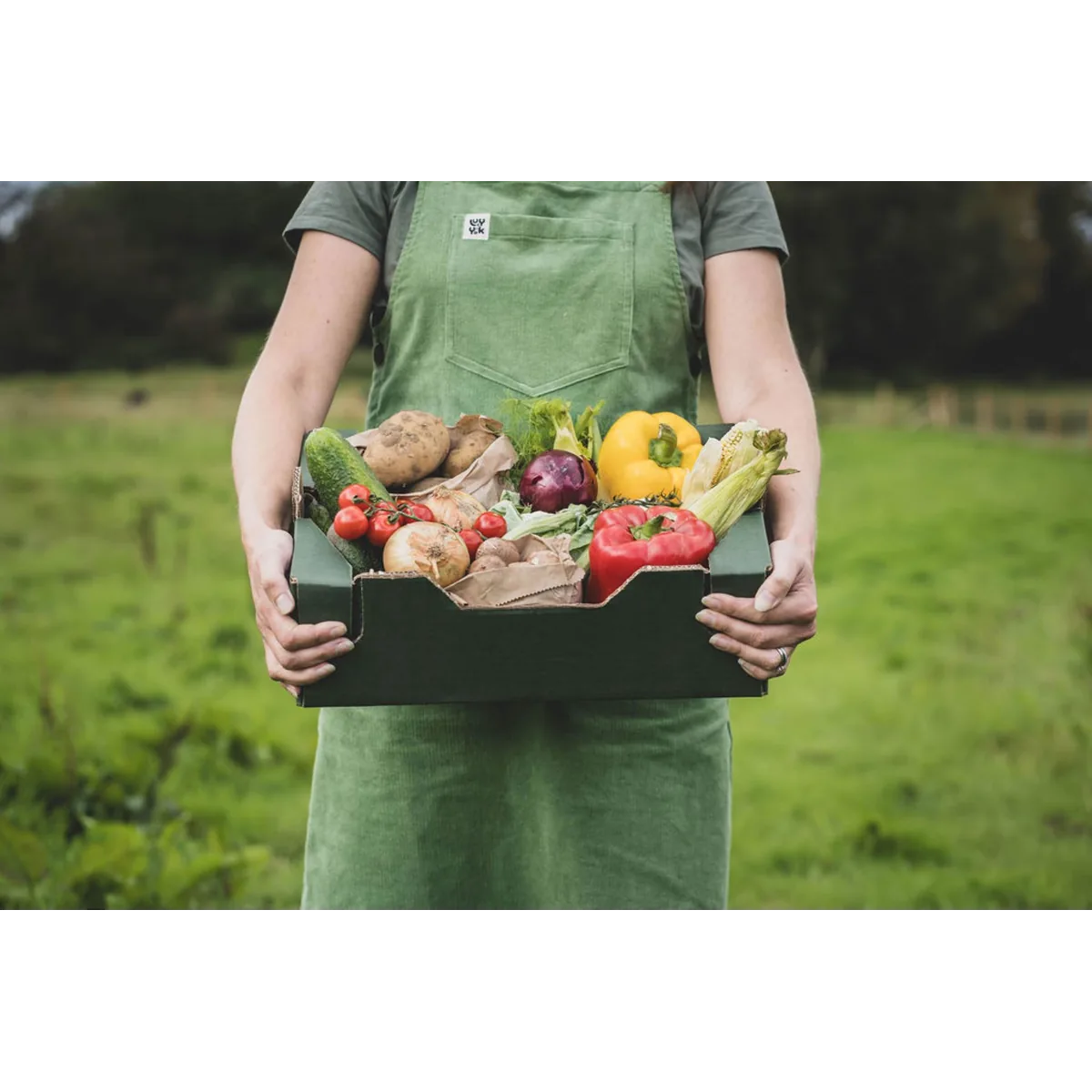 Boxed Green organic veg box