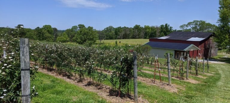 Buffalo Trail Orchard