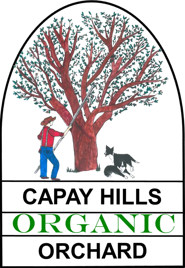 Capay Hills Orchard Organic Raw Unpasteurized Almonds