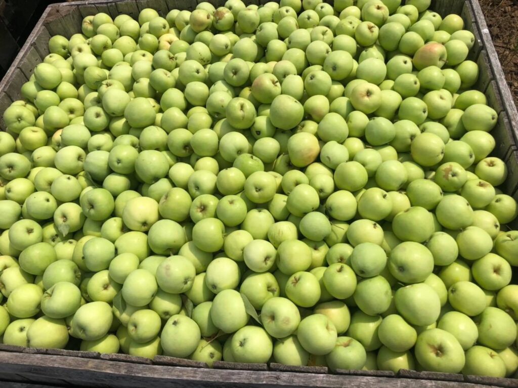 Chandler’s Farm