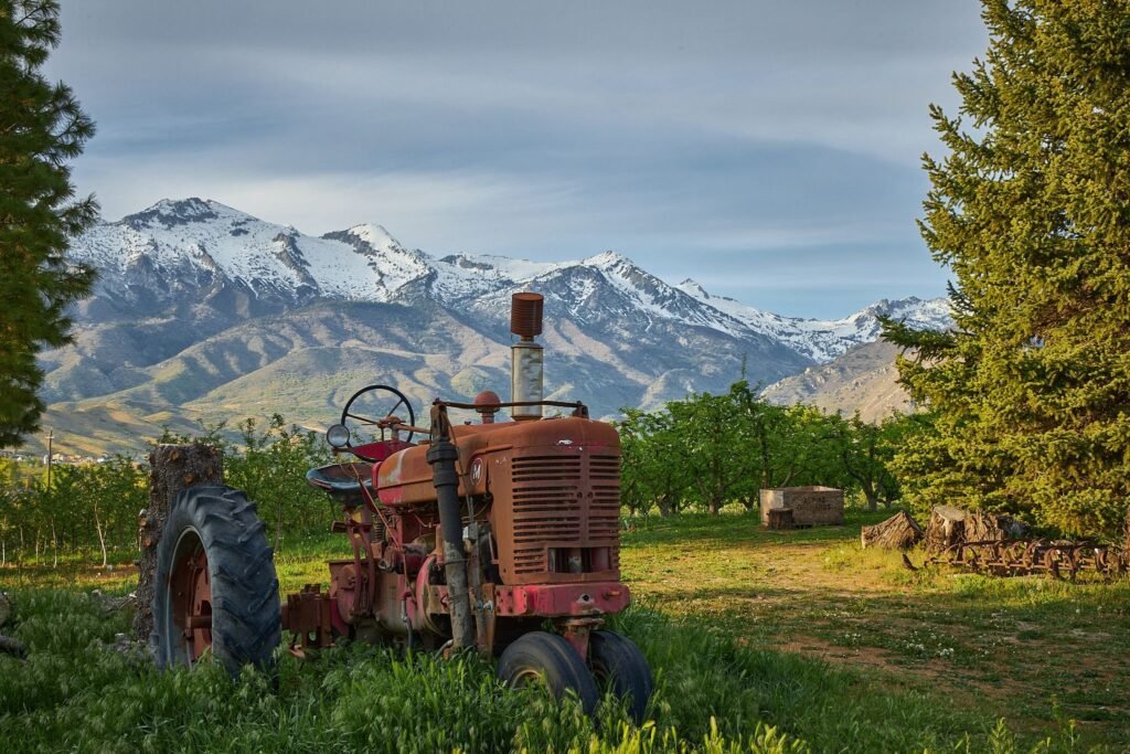 Cherry Hill Farms