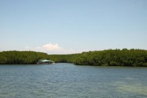 Codrington Lagoon National Park and the Frigate Bird Sanctuary