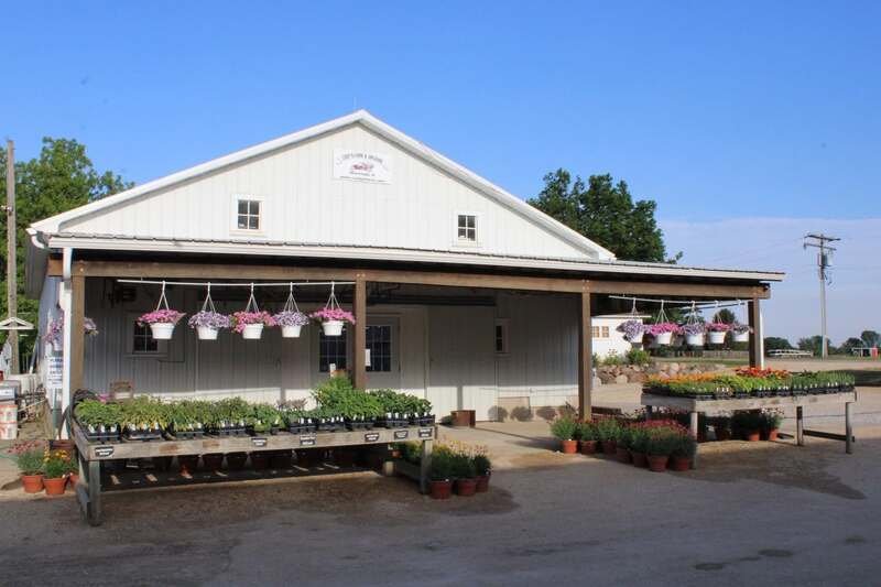Cody’s Farm