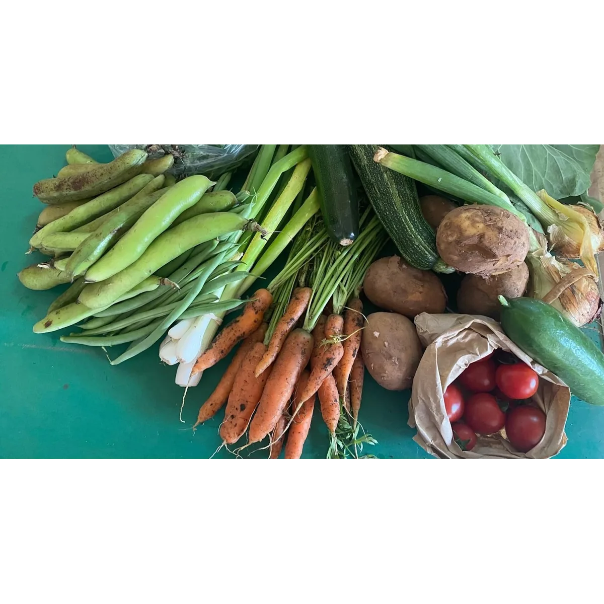 Coleshill Organics organic veg box