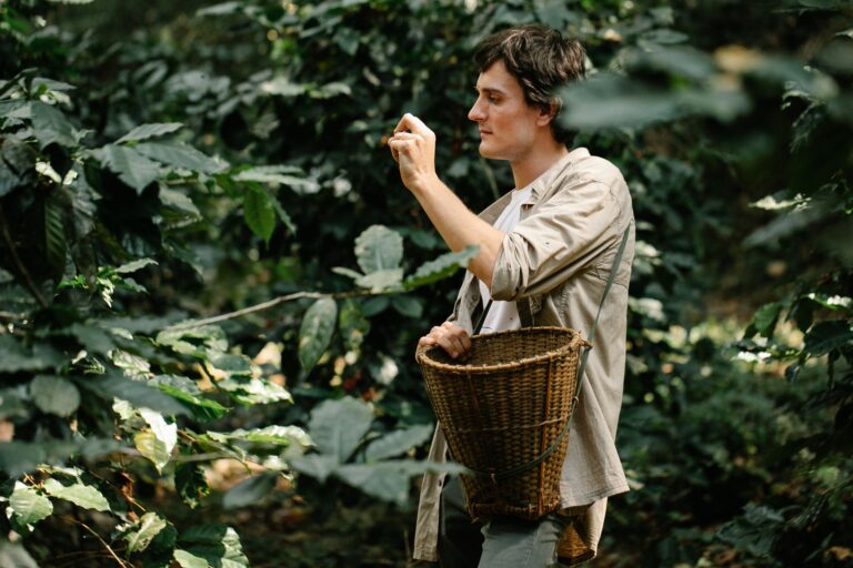 Craighton Estate Blue Mountain Coffee Tour