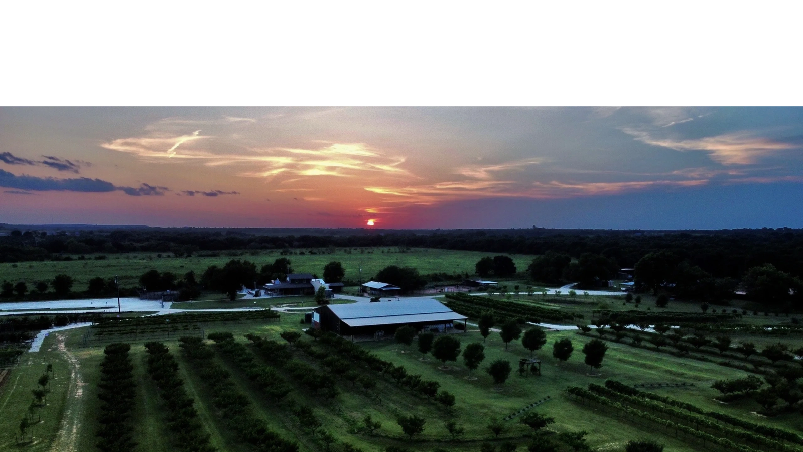 Denton Valley Farms