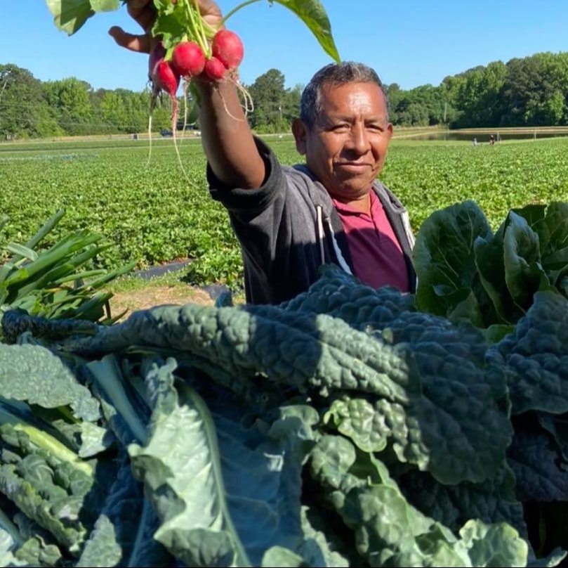DJ’s Berry Patch