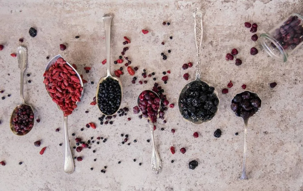 Dr Superfoods — Certified Organic Dried Goji Berries