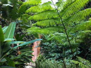 Diamond Falls Botanical Gardens & Mineral Baths