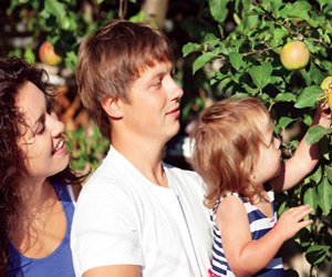 DuBois Farms Pick-Your-Own