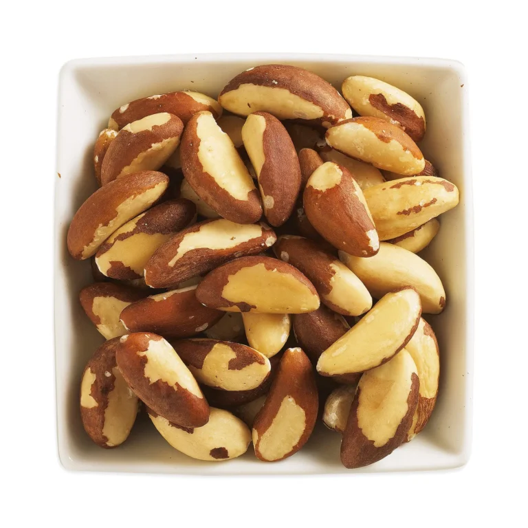 Equal Exchange Organic Fairtrade Brazil Nuts