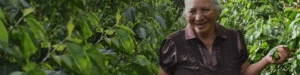 Equal Exchange Organic Love Buzz / Colombian Whole Bean