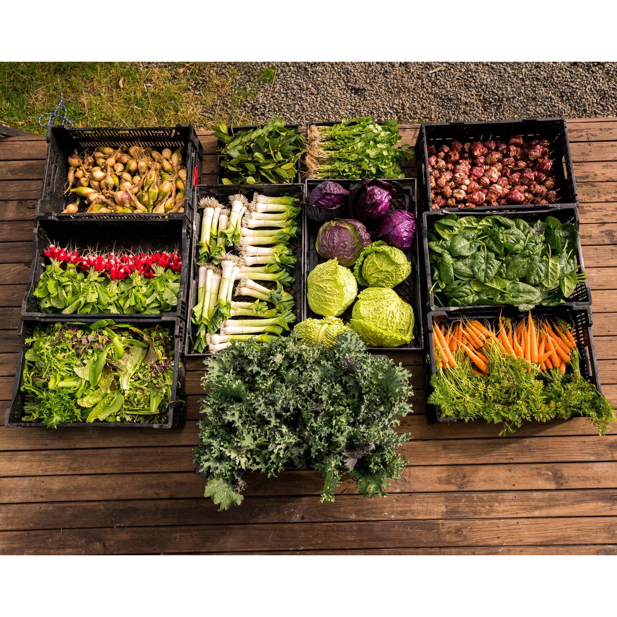 Fat Pig Produce organic veg box