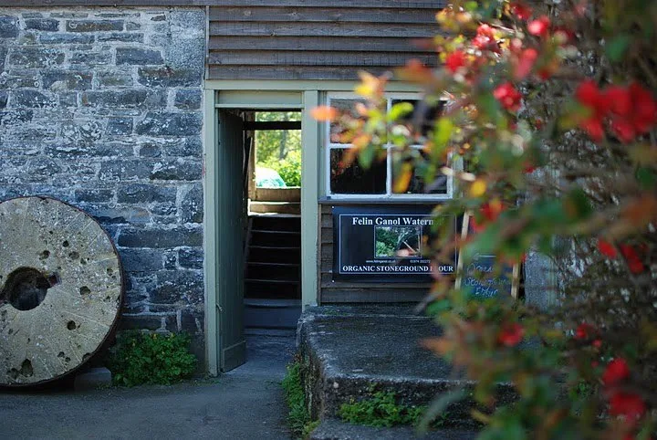 Felin Ganol Watermill Organic Stoneground Wholemeal & Sifted Flours (water-milled)