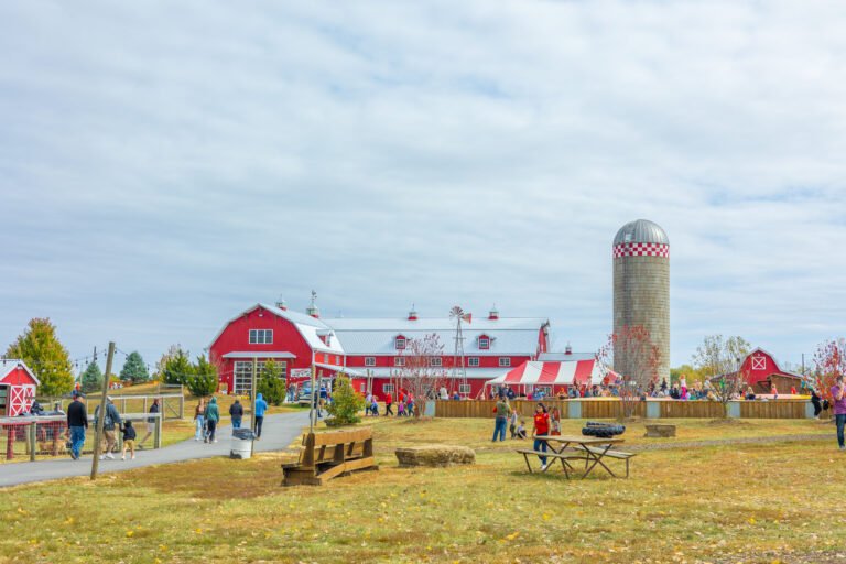 Fun Farm