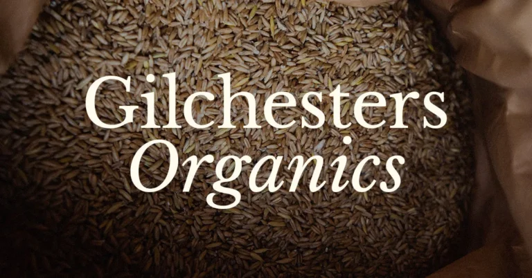 Gilchesters Organics Organic Stoneground Wholemeal Spelt Flour