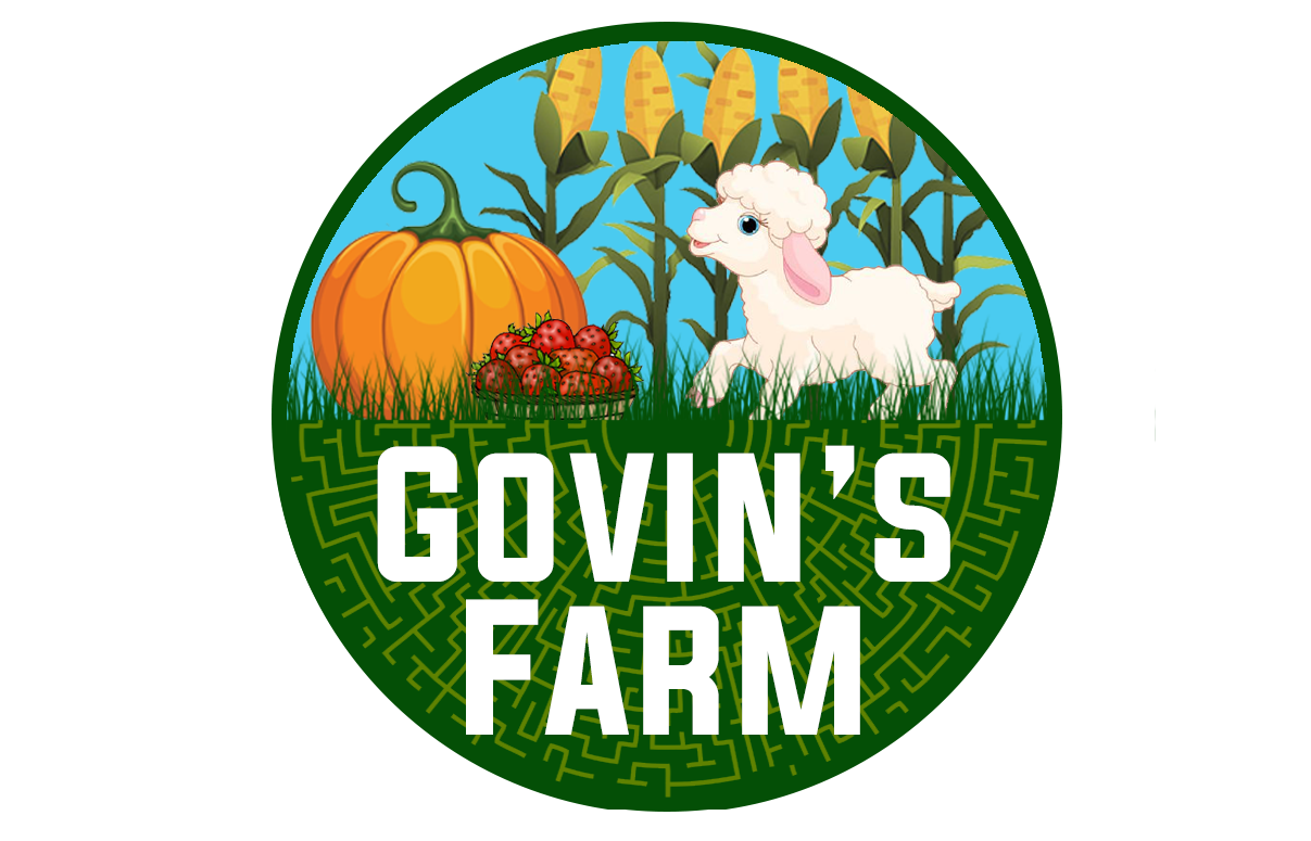 Govin’s Meats and Berries