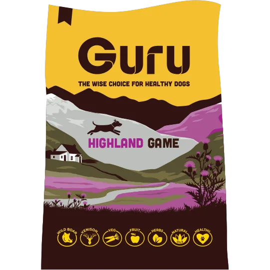 Guru