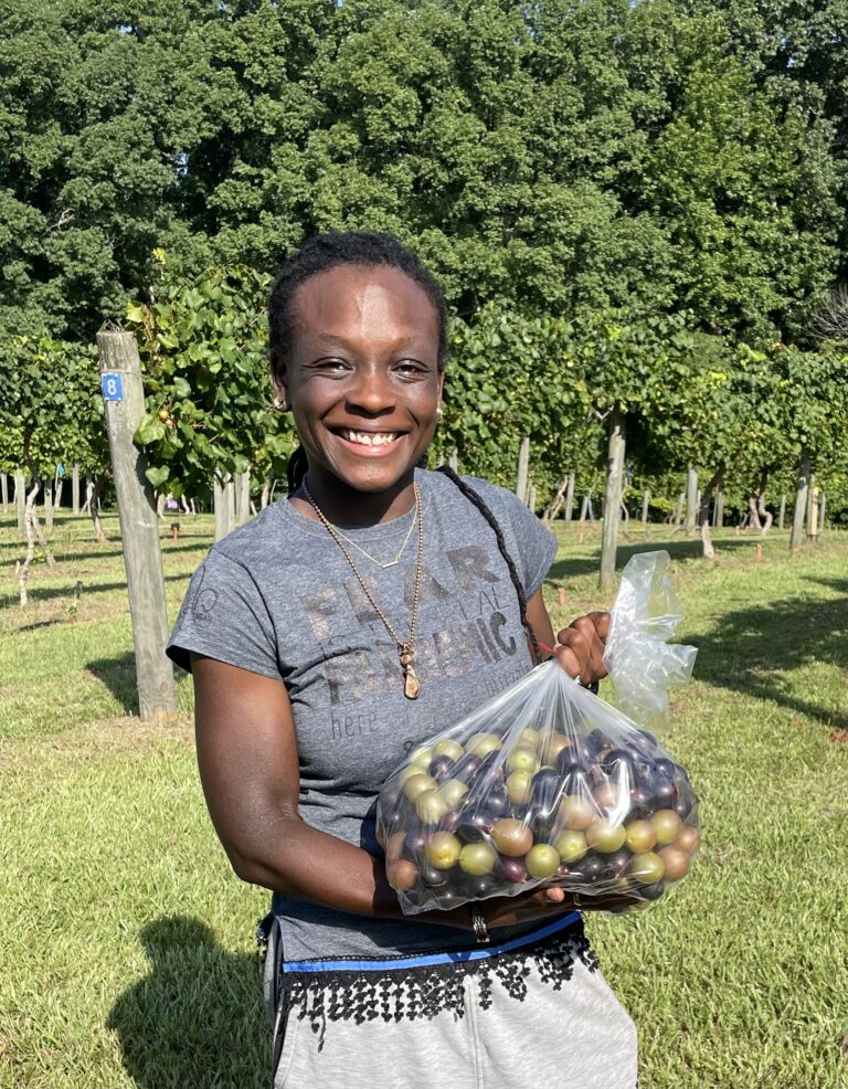 Herndon Hills Farm