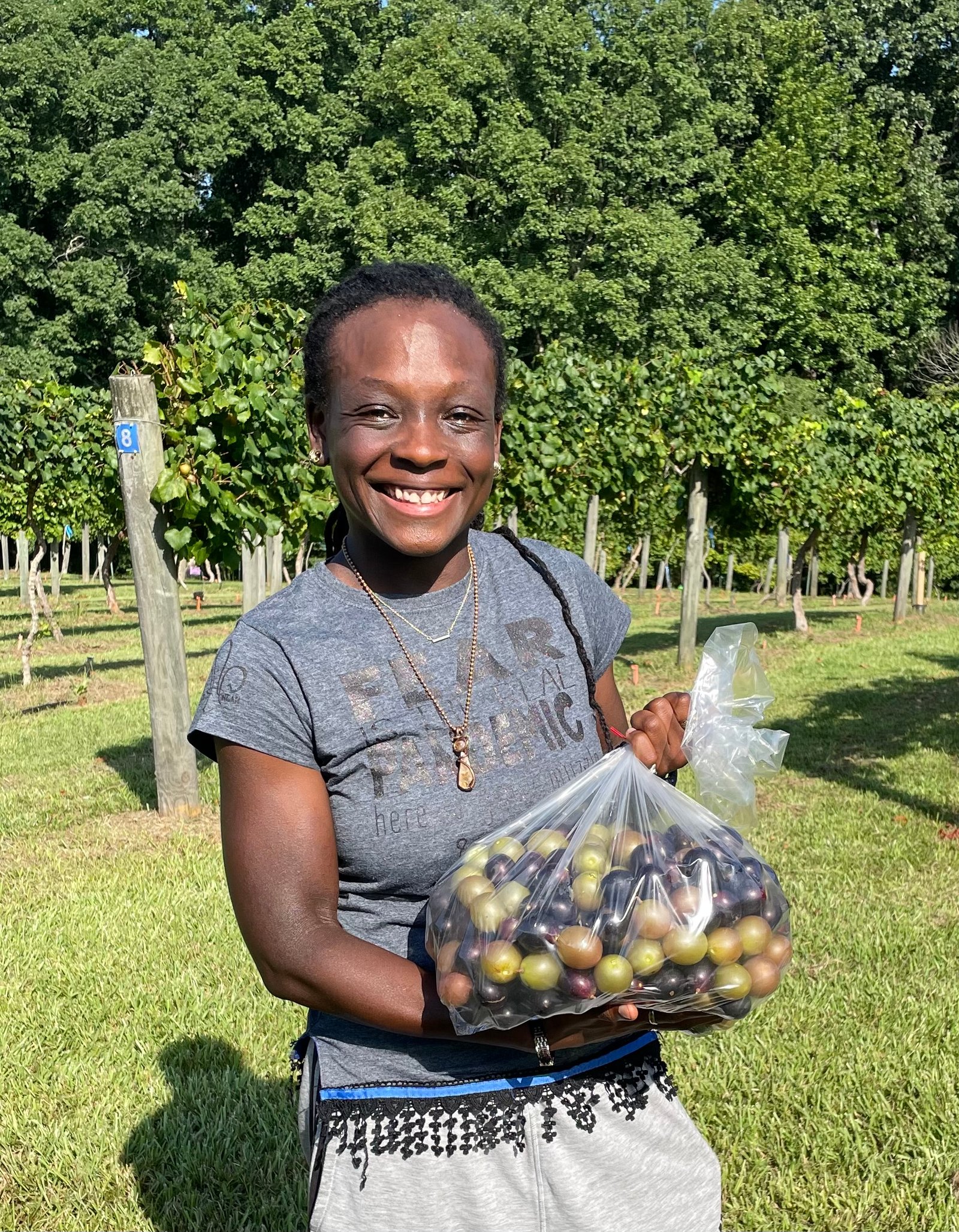 Herndon Hills Farm