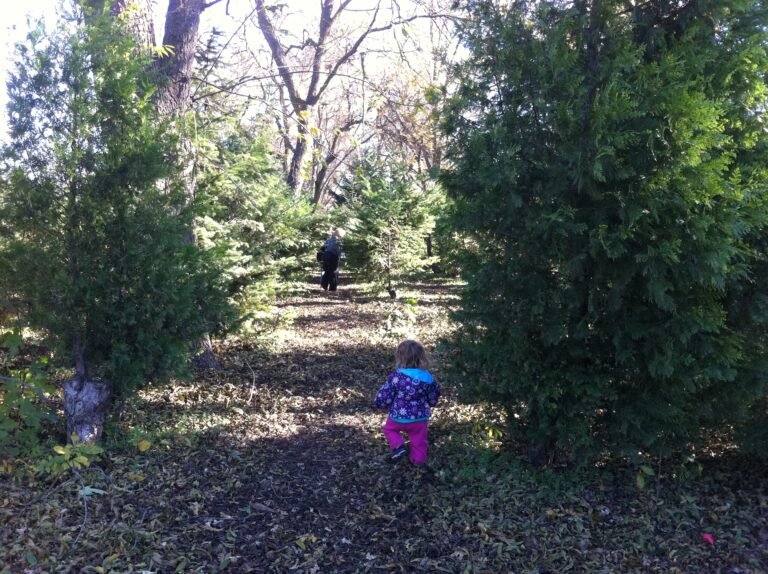 Jacob Mini Farm