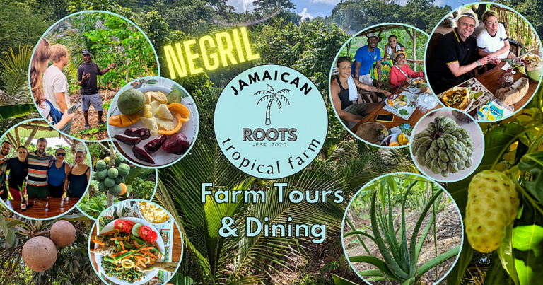 Jamaican Roots Tropical Farm