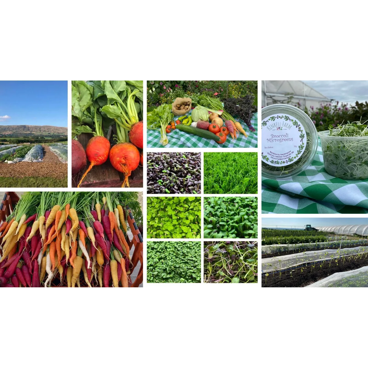Kinkell Farm organic veg box