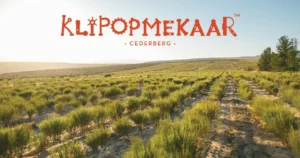 Klipopmekaar Single-estate organic Rooibos