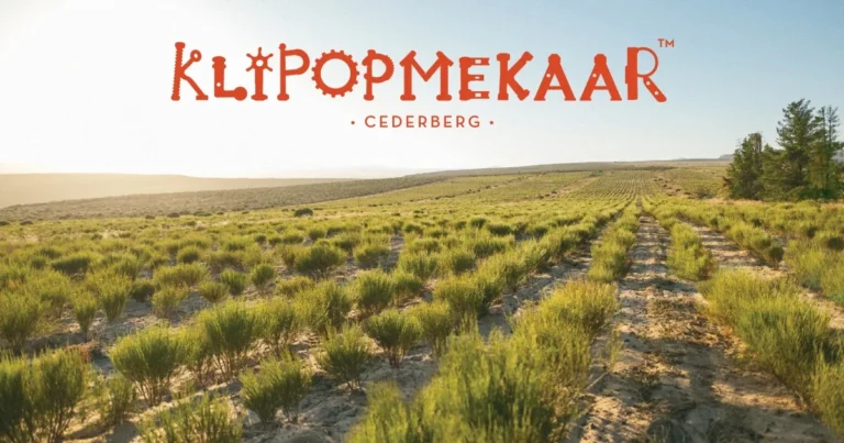 Klipopmekaar Single-estate organic Rooibos
