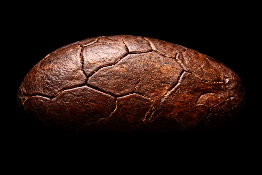 Jordi's Chocolate chocolate