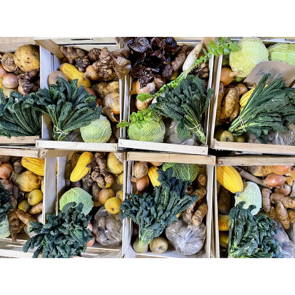 Laines Organic Farm organic veg box