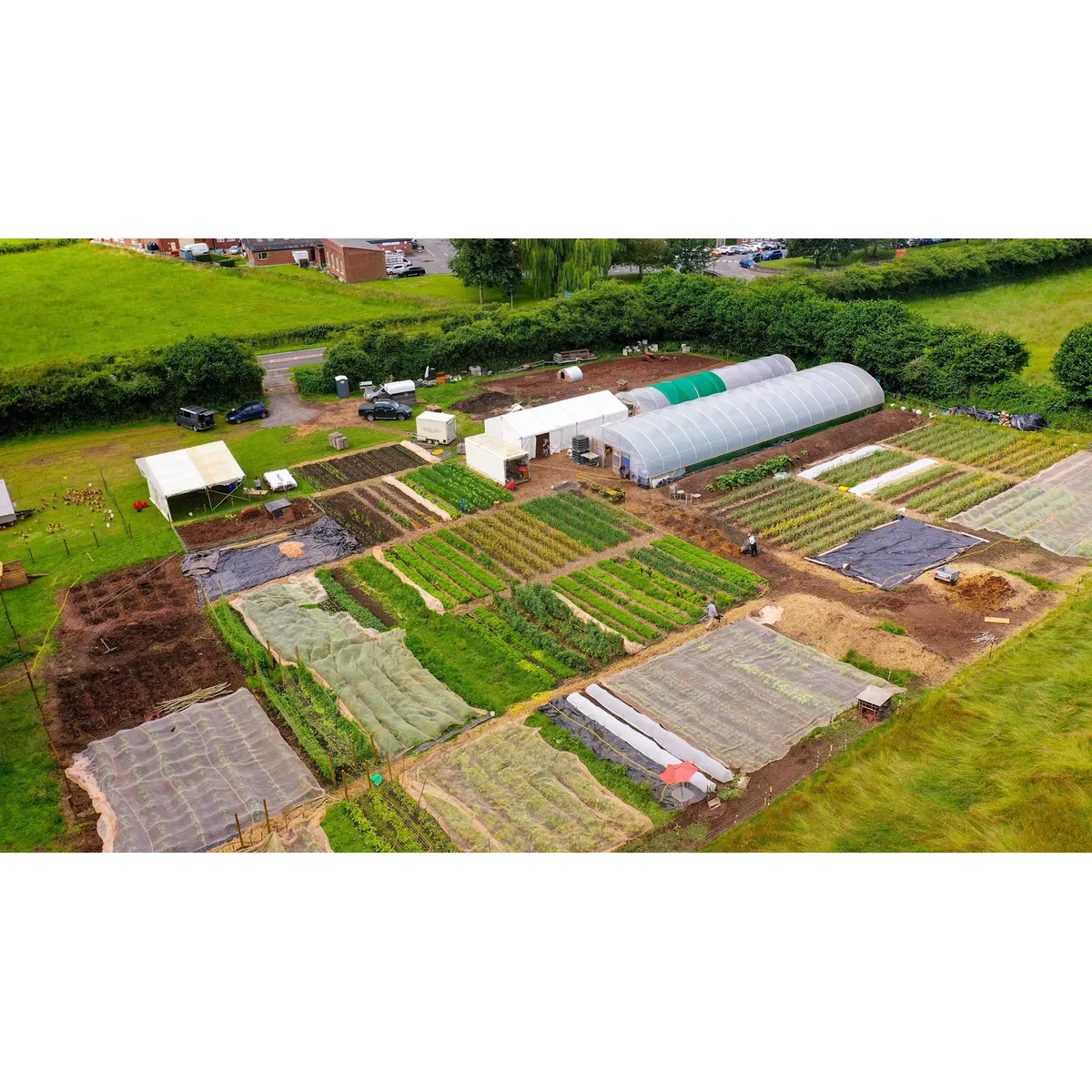 Langtons Farm organic veg box