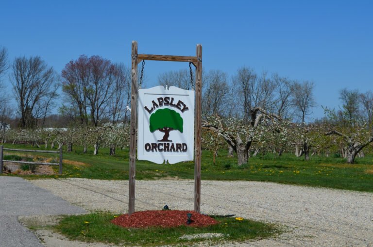 Lapsley Orchard