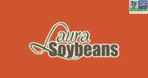 Laura Soybeans Non-GMO Food-Grade Whole Soybeans