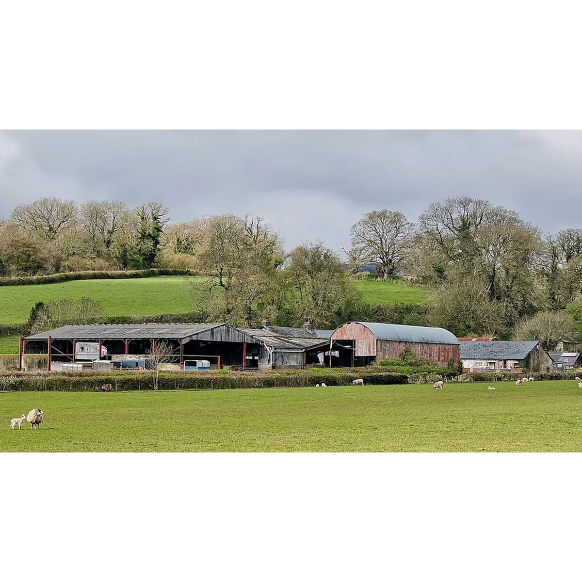 Lower House Farm Wales organic veg box