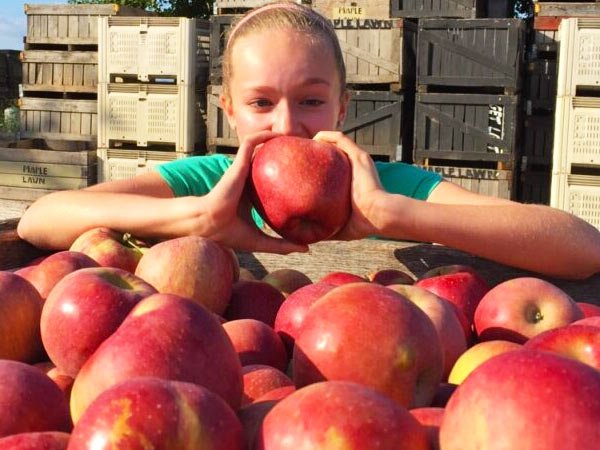 Maple Lawn Farms, Inc.