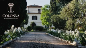 Marina Colonna Molensis / Classic Extra Virgin Olive Oil