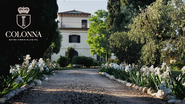 Marina Colonna Molensis / Classic Extra Virgin Olive Oil
