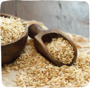 Massa Organics Organic whole-grain medium-grain brown rice