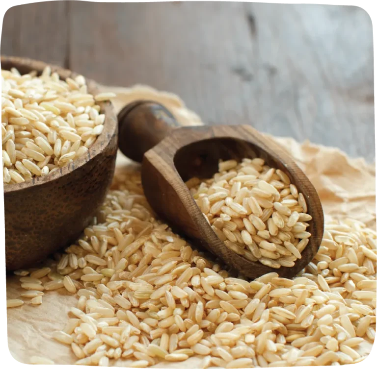 Massa Organics Organic whole-grain medium-grain brown rice