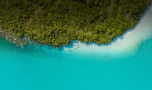 Kayak Eco Tour, Mangroves & Marine Nursery