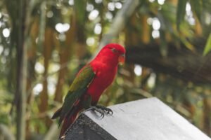 Millet Bird Sanctuary Trail