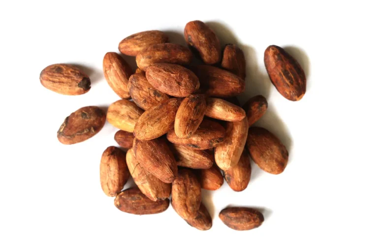 Mountain Rose Herbs Organic Cacao Beans / Nibs / Powder / Cocoa Butter