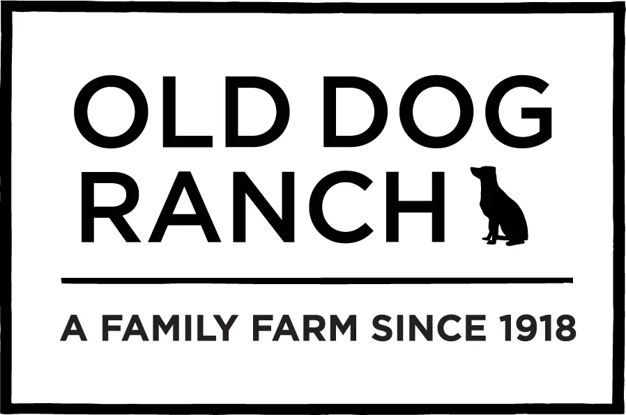 Old Dog Ranch — Raw Regenerative Organic Walnut Halves