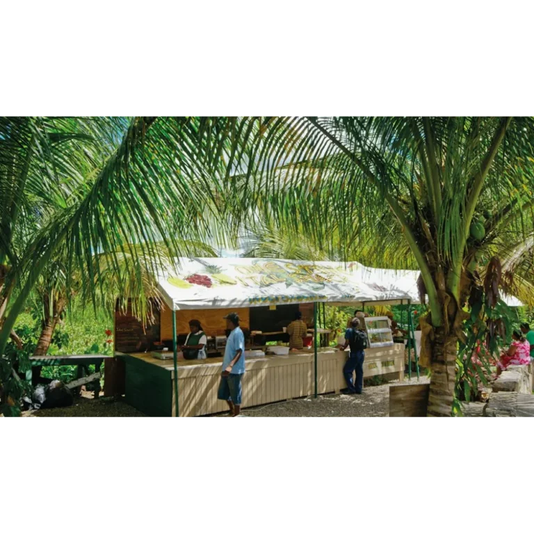 One Stone Ital Shack