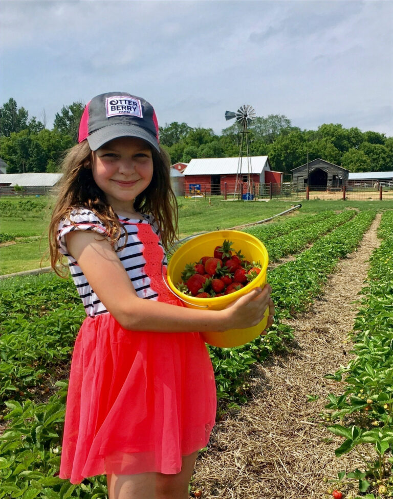 Otter Berry Farm