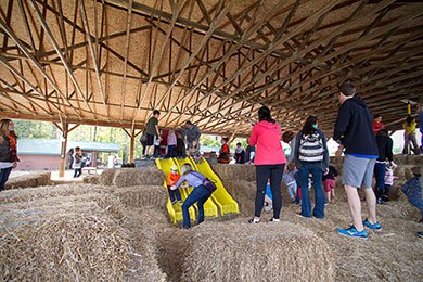 Patterson’s Apple Farm