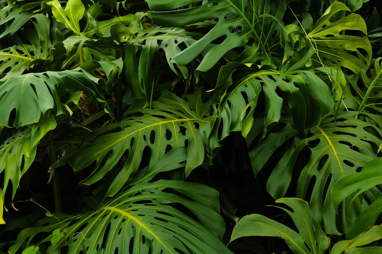 PEG Farm and Nature Reserve guided ecotour